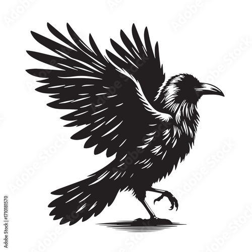 Black Raven Bird Silhouette Vector Illustration design, Solid White Background