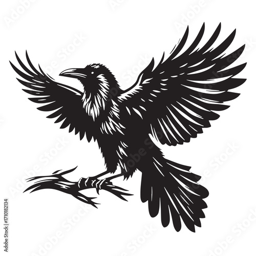 Black Raven Bird Silhouette Vector Illustration design, Solid White Background