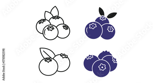 Simple blueberry illustrations in varying styles line art and solid fill