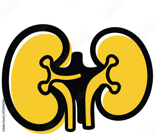 Stylized illustration of human kidneys with connecting tubes