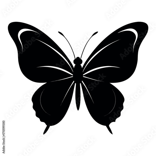 Striking perfectly formed black butterfly silhouette