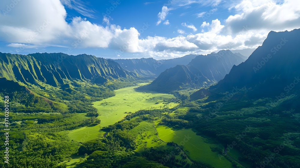 Obraz premium Aerial view of a lush green valley surrounded by majestic mountains under a bright blue sky