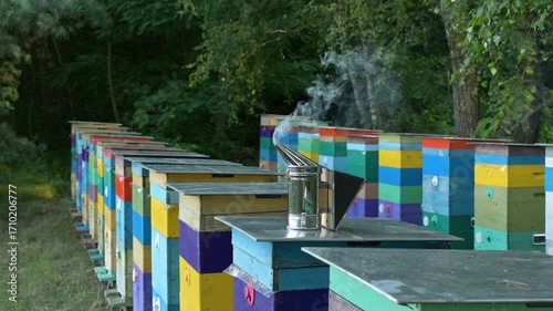 A bee smoker is smoking on an apiary among colorful beehives. A bee smoker standing on the roof of a beehive smokes against the background of other beehives of different color in apiary in the forest