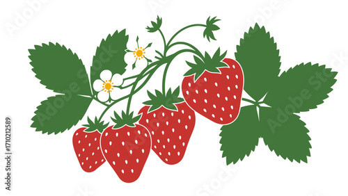 Fresh Strawberries on Vine with Green Leaves and White Flowers Illustration