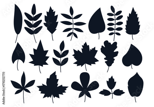 Autumn leaf silhouettes. Set of foliage different shapes in flat minimal style. Vector seasonal fall elements.