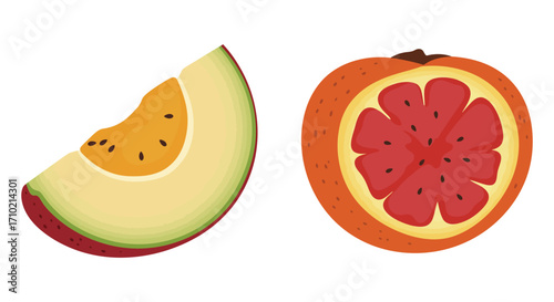 Sliced avocado and citrus fruit illustration with vibrant colors and details