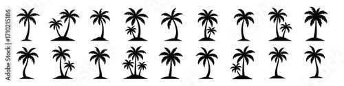 Silhouette palm tree collection: elegant tropical designs for creative projects