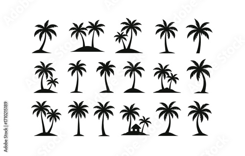 Set of palm tree silhouettes: tropical and minimalist designs