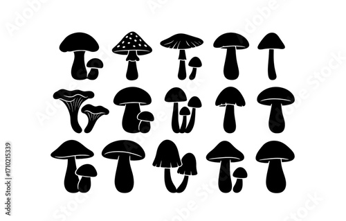 Silhouette collection of diverse mushroom shapes in simple black design