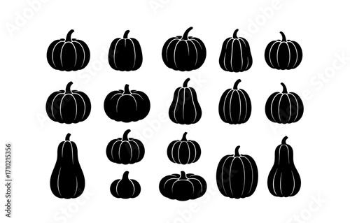Set of autumn silhouette pumpkins in various shapes for seasonal designs