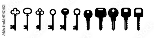 Set of diverse key silhouettes in modern flat design style