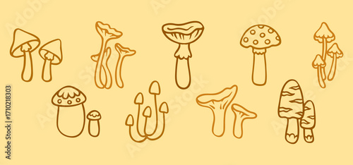 Line autumn set mushrooms draw