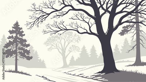 Winter forest landscape grayscale illustration trees snowy path nature scene minimalist art woodland winter trees forest path scenic view nature illustration winter background tranqui.