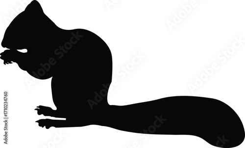 Squirrel Eating on the Ground with Bushy Tail in Wildlife Scene