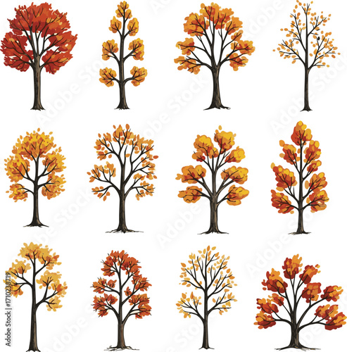 Create a kinds of deferent Hand drawn loose autumn tree illustration set vector art with white background.