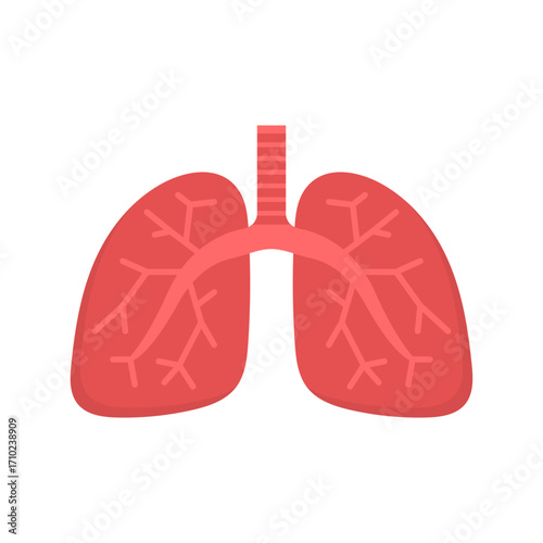 Lungs Icon Isolated on Transparent Background. Human Respiratory System. Vector Illustration