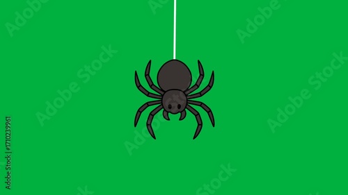 Animated illustration of a Spider descending to that of a dangler, with a green screen background
