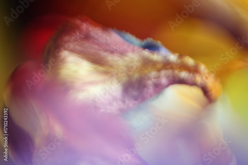 A background of a flower shot on macro, abstract