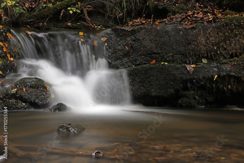 Scaleber Force Waterfall over black rocks and fallen colorful leaves.