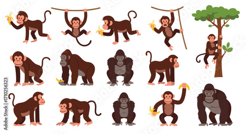 A collection of cartoon monkeys and gorillas in various poses on a white background.