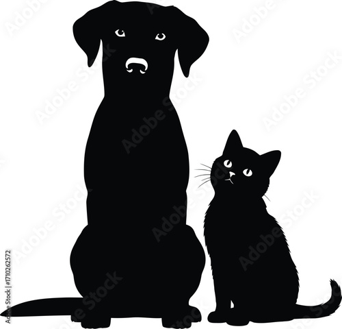 Silhouette of a dog and cat, showcasing the contrast and companionship between these two common domestic animals