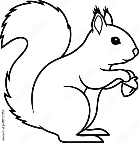 Squirrel holding an acorn, showcasing its bushy tail and small ears, a charming depiction of wildlife in nature