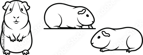 Guinea pigs in various poses, showcasing their rounded bodies and small ears, a charming depiction of domestic pets