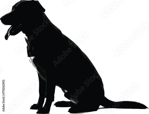 Silhouette of a black labrador retriever sitting, a striking image capturing the elegance and form of this popular breed