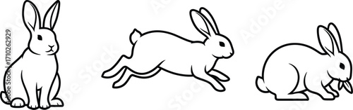 Three adorable rabbits, one sitting, one running, and one eating, all in a simple black and drawing style
