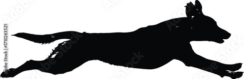 A black dog running at full speed, with its legs extended and its body parallel to the ground