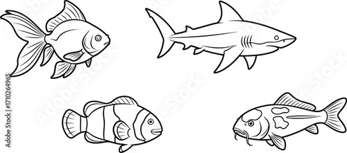 A captivating monochrome illustration showcasing a goldfish, shark, clownfish, and koi fish, all meticulously outlined in a clean, minimalist style