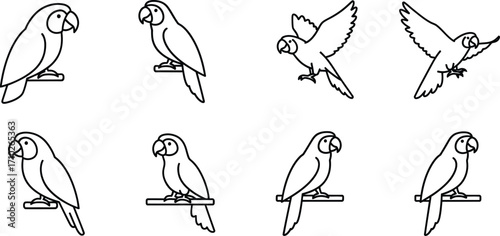 Line art collection of parrot in various poses, , showcasing the birds dynamic movements and graceful form