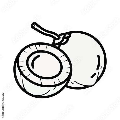 snail on a white background vector