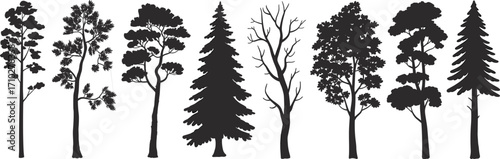 Flat vector illustration of different tree silhouettes, pine and deciduous forest elements, nature icons for landscape design, botanical decor.