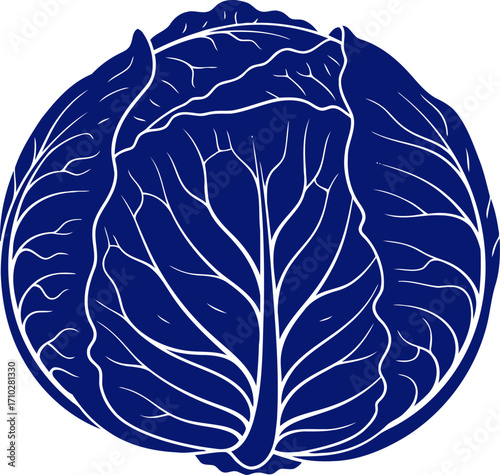 majestic midnightblue cabbage a icon for culinary branding and farmtotable designs, isolated on transparent background