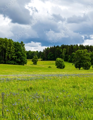 Lush meadow under a stormy sky