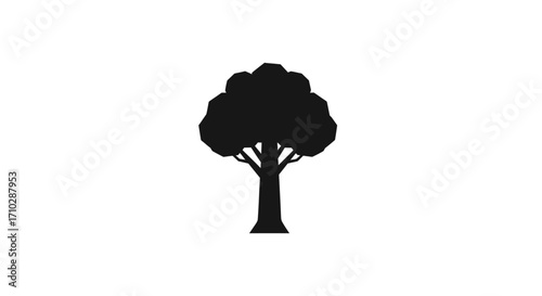 Silhouette of a Tree with Dense Foliage and a Strong Trunk.
