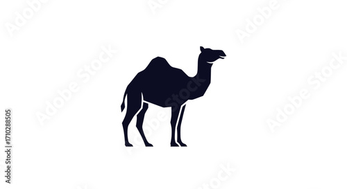Silhouette of a majestic camel standing gracefully, showcasing its distinctive humps and long legs.