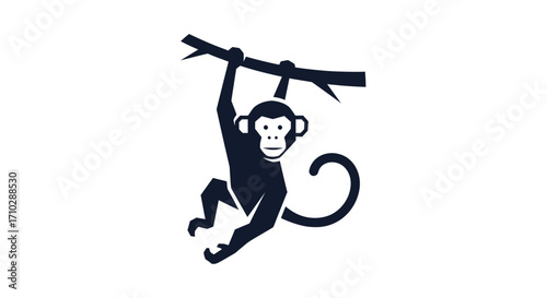 Silhouette of a Monkey Hanging from a Branch.