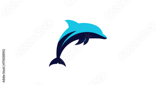 Ocean mammal dolphin aquatic animal marine wildlife.