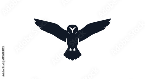 Dark owl silhouette soaring with wings spread wide.