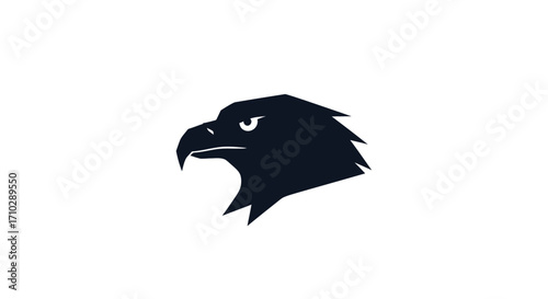 Stylized black eagle head logo icon design.