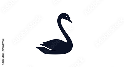 Elegant Black Swan Silhouette - Graceful Waterbird in Profile.
