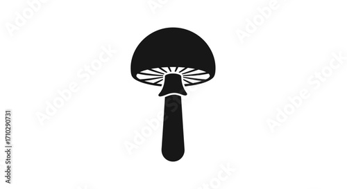 Silhouette of a mushroom, detailed illustration, focused on the mushrooms shape and form, black and white image, simple design, perfect for logo or icon.
