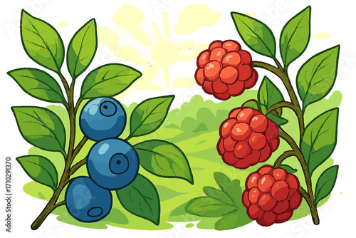 Blueberry and raspberry vector illustration. Ripe berries on a branch with green leaves. Cartoon fruit in a sunny summer garden. Fresh organic food, healthy eating concept.