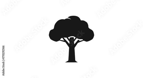 Silhouette of a deciduous tree with a full canopy and sturdy trunk, isolated on a white background.
