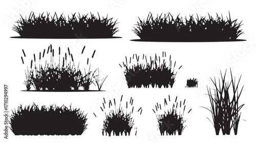 A collection of various grass and reed silhouettes in black and white vector format isolated on white