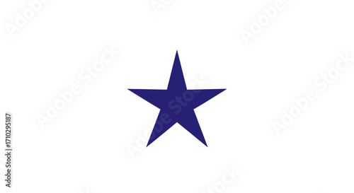 A single striking dark blue star symbol graphic.