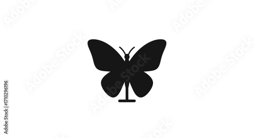 Black butterfly silhouette artfully displayed on a specimen pin.