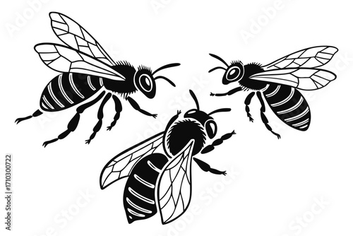 Three stylized black and white bees in flight on a white background
